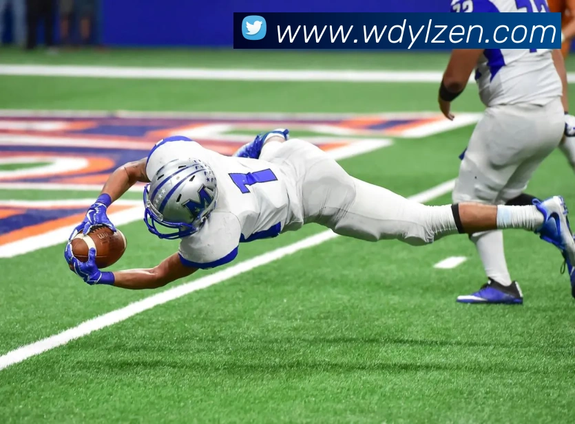 App Interface Preview